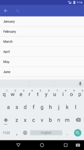 Android Toolbar Searchview without hint