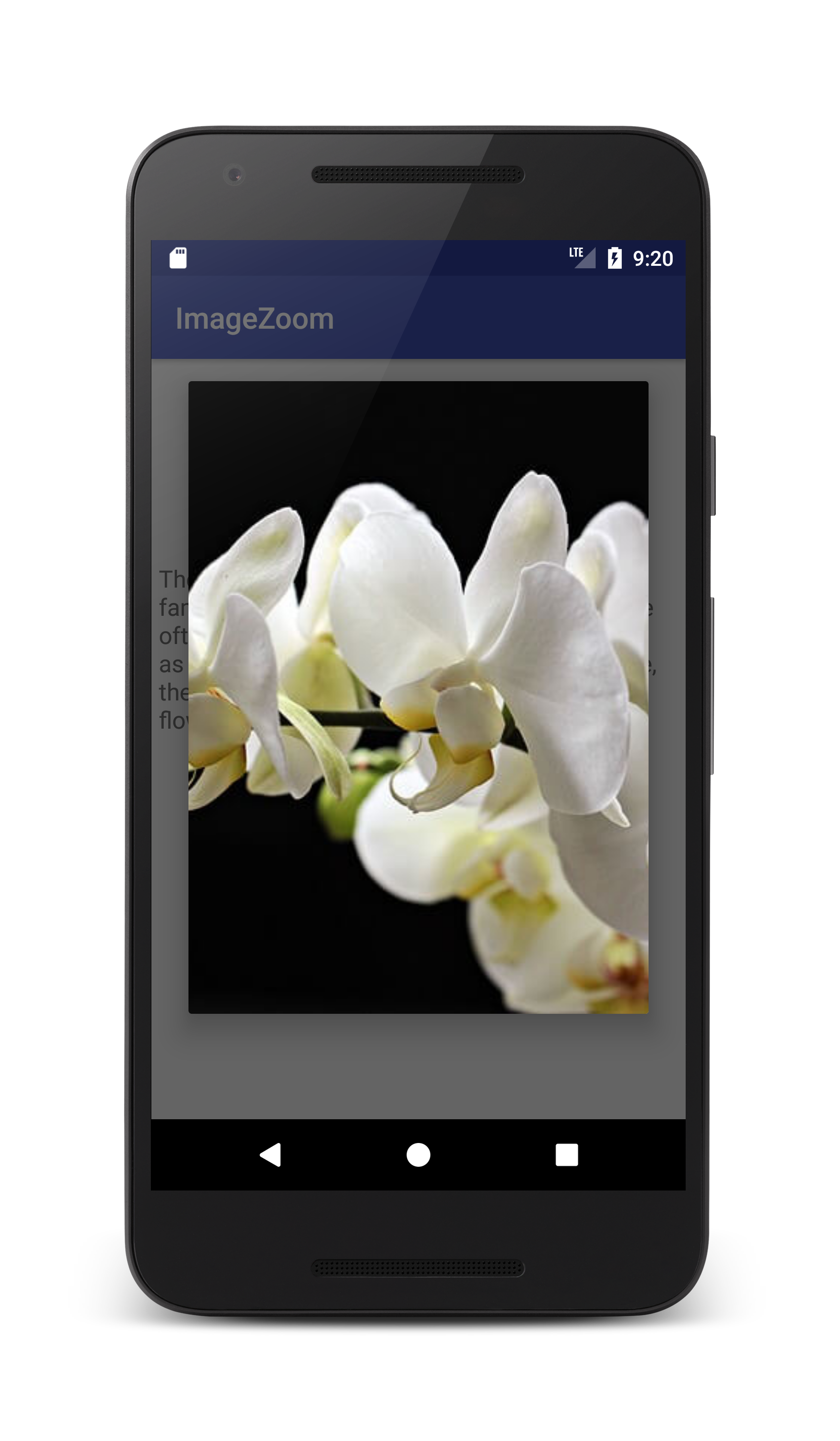 Pinch To Zoom Android Imageview Tutorial Coding Demos