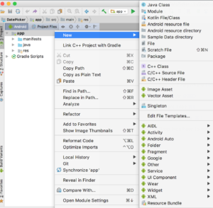 Android Assets Folder in Android Studio