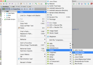 Android Assets Folder in Android Studio