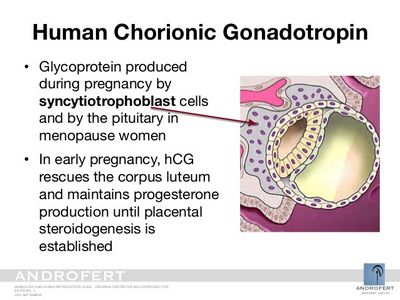 Chorionic Gonadotropin online